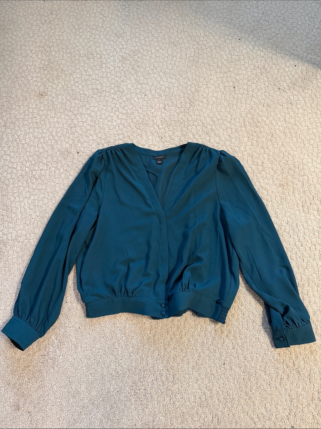 Halogen Teal V-Neck Long Sleeve Blouse